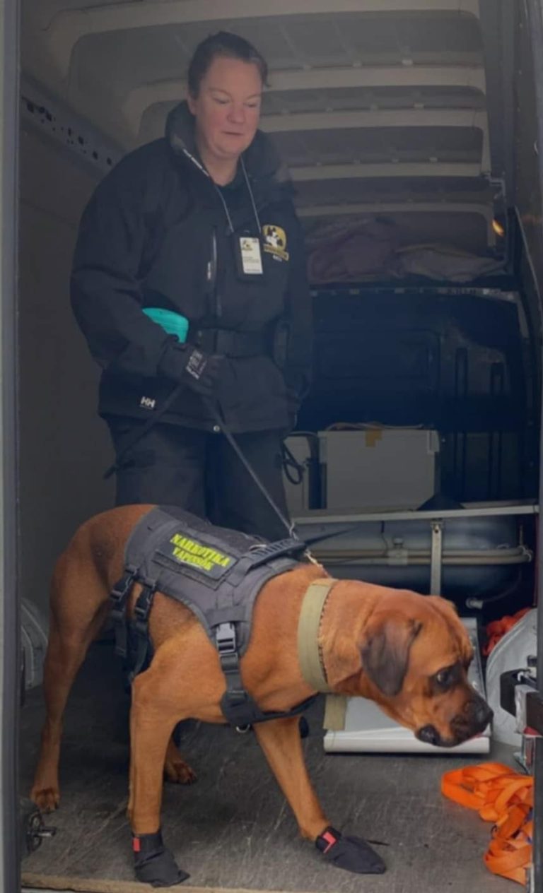 Airine och hund under sökträning i ett fordon